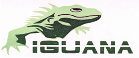 Iguana